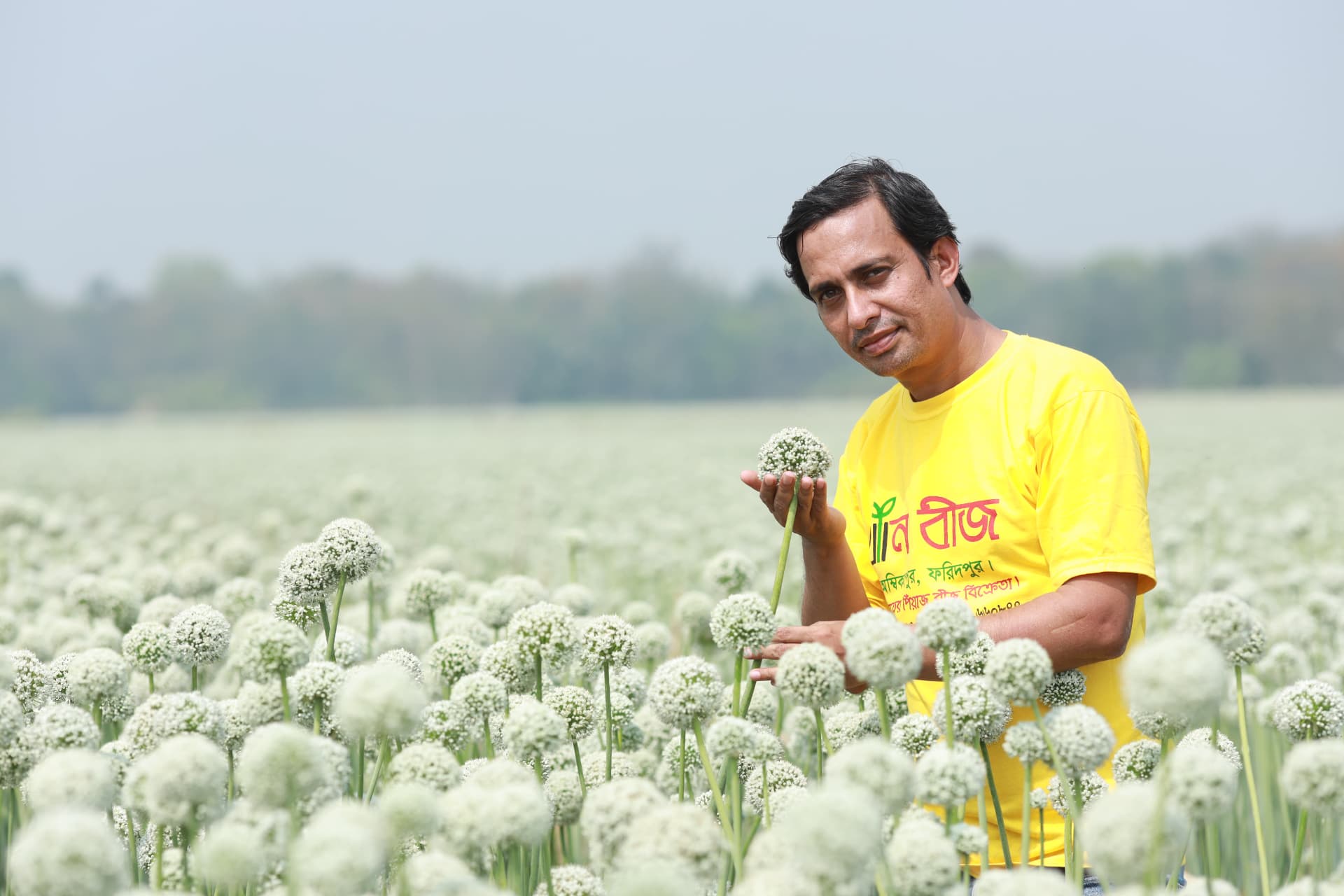 Khan Seed team member holding an onion seed flower head in the field