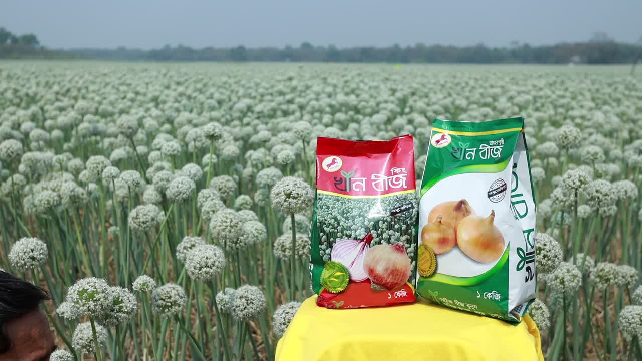Video of our onion seed field