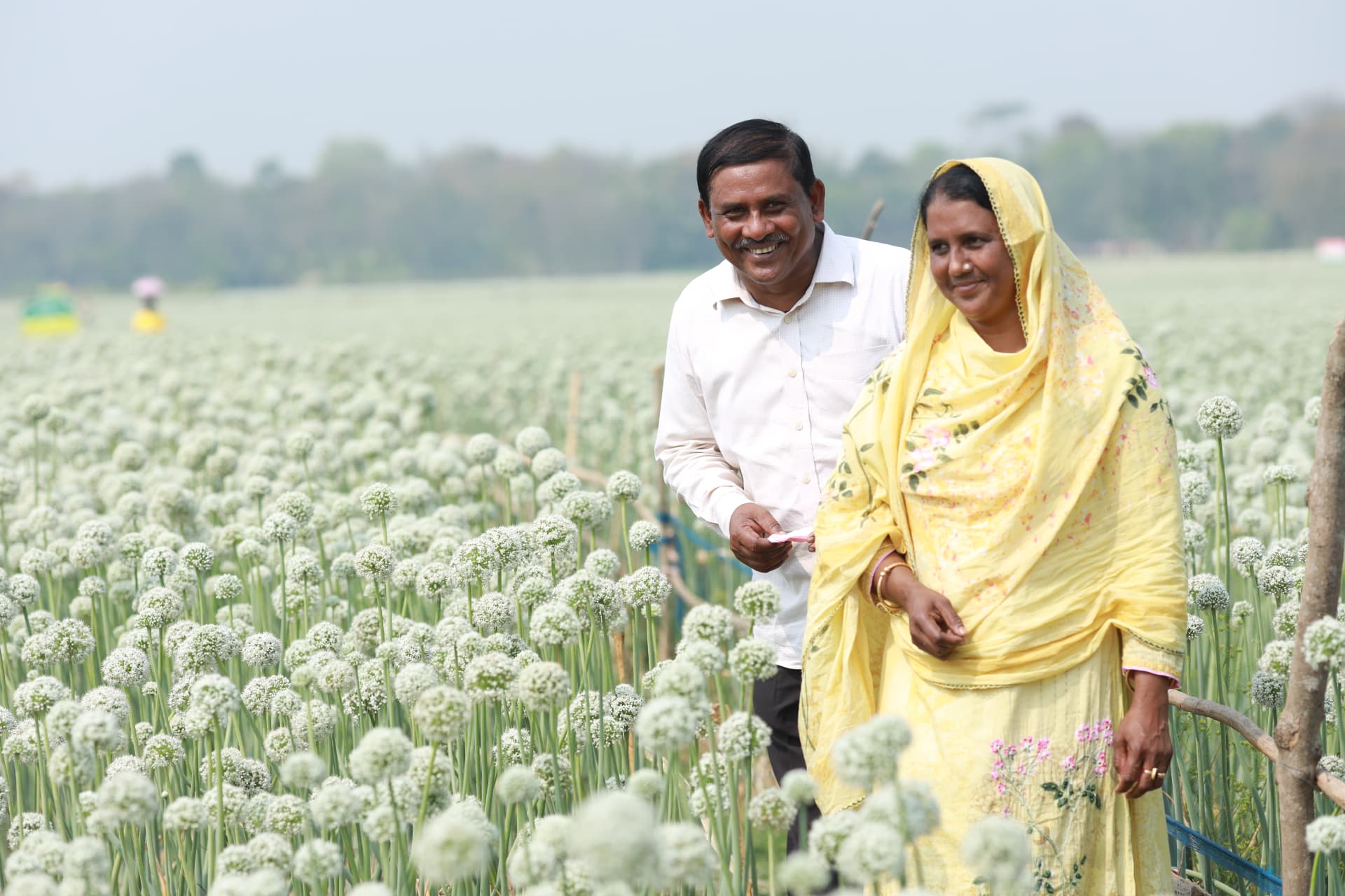 Farmer couple walking through the onion seed field