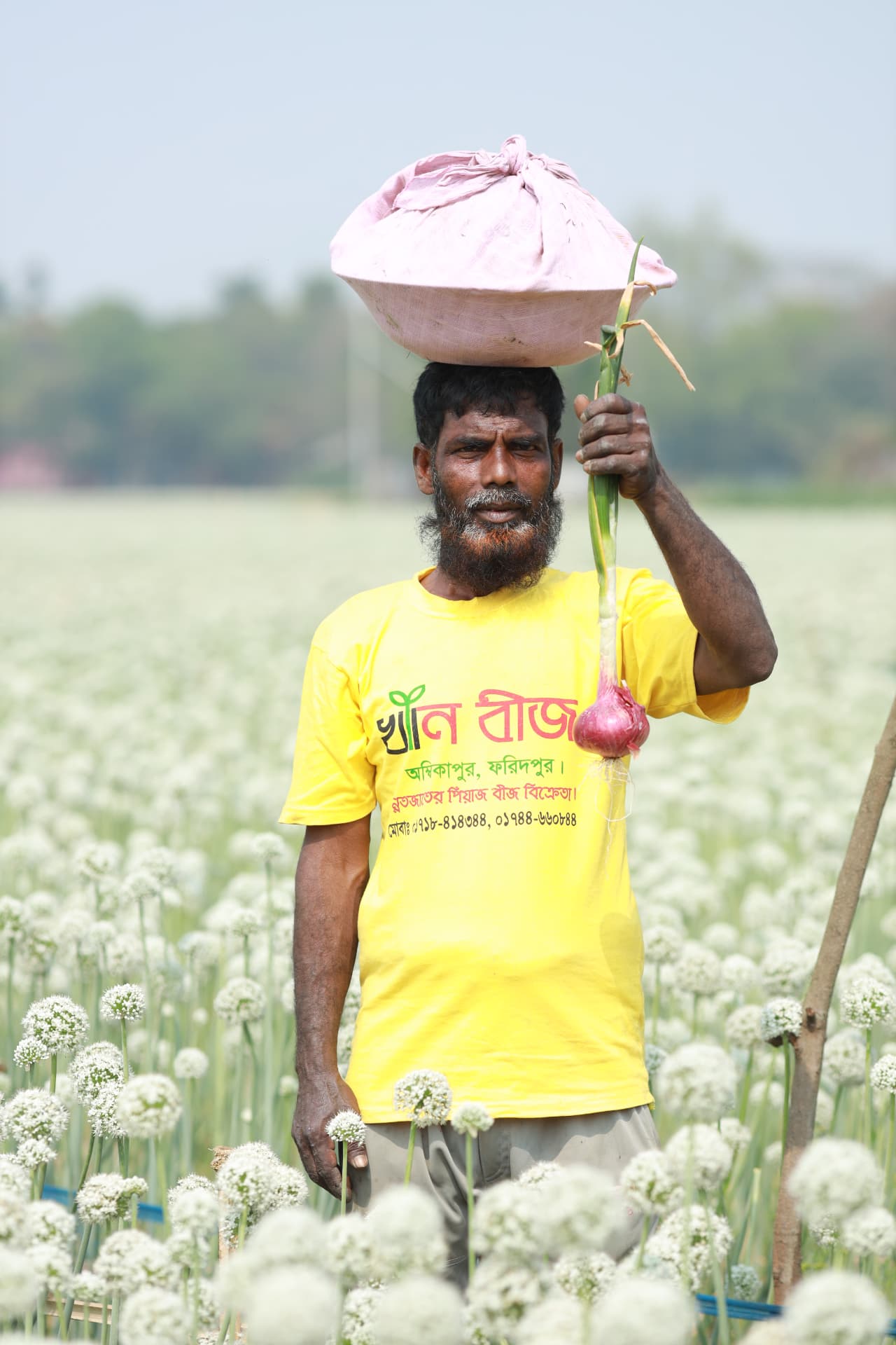 Farmer showing an onion plant with bulb and roots